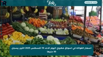 أسعار الفواكه في أسواق مطروح اليوم الأحد 10 أغسطس 2025 التين يسجل 30 جنيها